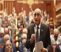 برلماني لوزير الري: ترشيد المياه يبدأ من نشر ثقافة غلق «الحنفية المفتوحة»