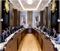 رئيس الوزراء يتابع جهود تطوير مجتمع "جزيرة الوراق العمراني"