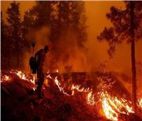 كوريا الجنوبية: السيطرة على الجزء الرئيسى من حرائق الغابات