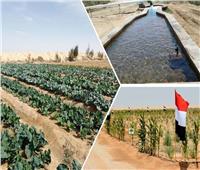 وزير الزراعة: المشروعات القومية خفضت تأثير الأزمات الدولية على الأمن الغذائي