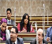 نائبة حماة الوطن توافق على مشروع تعديل بعض أحكام قانون الجنسية المصرية