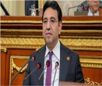 برلماني: مصر والإمارات تجمعهما علاقات تاريخية وثيقة‎‎  