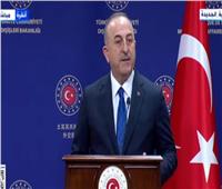 وزير خارجية تركيا: نسعى لزيادرة التبادل التجاري مع مصر إلى 15 مليار دولار 