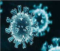 خبير صيني: لا دليل على انتشار فيروس كورونا من الحيوانات