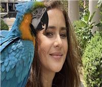 نيللي كريم تطل على جمهورها بالبغباء| فيديو
