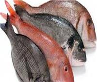 تكنولوجيا الأغذية.. 12 مواصفة يجب توافرها في الأسماك الطازجة