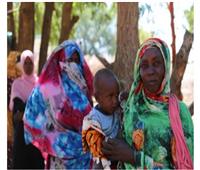 «الأغذية العالمي» يعلّق عملياته مؤقتا في السودان بعد مقتل 3 من موظفيه
