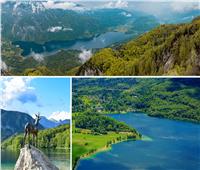 «بحيرة بوينج».. الجمال الطبيعي الأصيل لـ سلوفينيا| صور