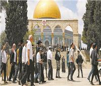 الاحتلال يقتحم مصلى «باب الرحمة» بالمسجد الأقصى