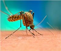 الصحة العالمية: ما يقرب من نصف سكان العالم معرضون لخطر الملاريا