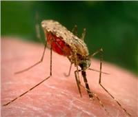 «الصحة العالمية» تكشف طرق تقليل خطر الإصابة بالملاريا