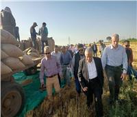 الزراعة: افتتاح حصاد محصولي الكتان والقمح بمحطة بحوث كفر الشيخ| صور