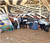 صندوق التأمين على الماشية يشارك بمهرجان سباق الهجن بشمال سيناء 