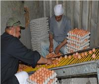  نائب محافظ البحيرة تتفقد محطة الزهراء لإنتاج البيض بإيتاي البارود 
