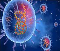 فيروس لاسا.. أخطر الفيروسات في نيجيريا