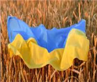 أوكرانيا تعلن زراعة أكثر من مليون هكتار من الحبوب والمحاصيل البقولية