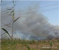 إخماد حريق في أراضي مزروعة قمح بكفر الشيخ