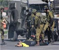 الاحتلال الإسرائيلي يعتقل مواطنا فلسطينياً وعدداً من المتضامنين الأجانب في الخليل