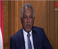 مبعوث مجلس السيادة السوداني: علاقاتنا بالقاهرة أزلية
