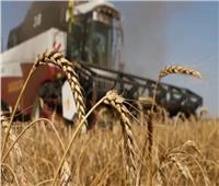 روسيا: الاجتماع الثلاثي بشأن قضية مبادرة الحبوب في البحر الأسود لم يتم الاتفاق عليه