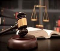 تأجيل إعادة إجراءات محاكمة متهم بـ«اللجان النوعية بحلوان» لـ 4 يونيو