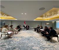وزير الخارجية البريطاني يشيد بتنظيم مصر لمؤتمر «كوب 27»  