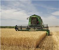 نقيب الزراعيين: استخدام الميكنة الحديثة يزود إنتاجية القمح ويقلل الفاقد