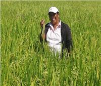 مدغشقر ترفع الاستثمارات الزراعية إلى 350 مليون دولار سنوياً وسط هشاشة أمن الغذاء