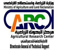 البحوث الزراعية: تعيين جمال طاهر مديراً لأمن المحطات بجميع المحافظات