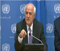 المندوب الفلسطيني بالأمم المتحدة: مصر تلعب دورا محوريا لوقف إطلاق النار بغزة