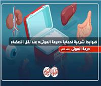 بأمر الإفتاء.. 5 ضوابط شرعية لحماية «حرمة الموتى» عند نقل الأعضاء