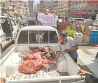 محافظة الجيزة تضبط 7 أطنان دواجن ولحوم ومصنعاتها فاسدة| صور
