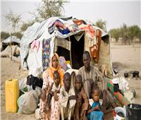 عودة أكثر من 18 ألف نازح بعد أعمال العنف الأخيرة في النيجر