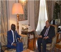 وزير الخارجية يستقبل وزير الشؤون الخارجية والتعاون والموريتانيين بالخارج 