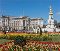 صحيفة بريطانية تجري استطلاع رأي حول تحويل قصر باكنجهام إلى متحف