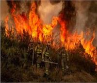 حريق غابات كبير في إسبانيا يتسبب في إجلاء 700 شخص