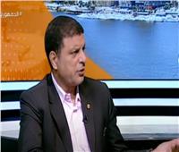 غباشي: السياسة المصرية الخارجية قائمة على ضرورة حفظ مقدرات الشعب