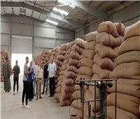 نائب محافظ المنيا: توريد 273 ألف طن من محصول القمح للشون والصوامع