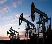 «الطاقة الدولية»: إمدادات النفط لن تتأثر بتشديد تطبيق سقف الأسعار