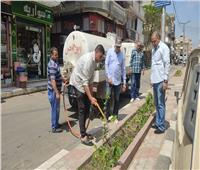 زراعة 23 ألف شجرة بشوارع وميادين أبو حمص بالبحيرة 