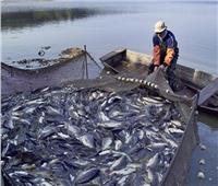 ارتفاع حجم الإنتاج السمكي من المصايد الطبيعية بزيادة 1.7% 