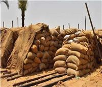 تموين الدقهلية: توريد 293 ألف طن من القمح لمواقع التخزين