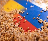 وزارة الخارجية الروسية تدعو للبحث عن بدائل لصفقة الحبوب