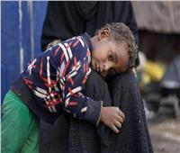 الأمم المتحدة: اليمن لا تزال واحدة من أكثر البلدان التي تعاني من انعدام الأمن الغذائي