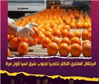 لأول مرة.. البرتقال المصري يحتل المرتبة الأولى في صادرات دول جنوب شرق آسيا