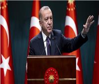 بولاية ثالثة..  هيئة الانتخابات التركية تعلن فوز أردوغان