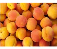 أسعار الفاكهة بسوق العبور الإثنين 29 مايو.. والمشمش يبدأ من 12 جنيها 