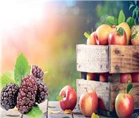 أبرزها التفاح والتوت.. أطعمة تحسن مستويات ضغط الدم 