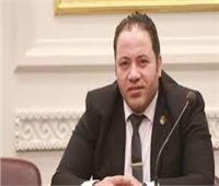 «عضو الشيوخ»: لقاء الرئيس بمجلس أمناء مكتبة الإسكندرية يعكس دعمه للثقافة