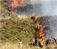 مستوطنون إسرائيليون يحرقون أراضي زراعية في رام الله ويعتدون على مالكيها بحماية الاحتلال